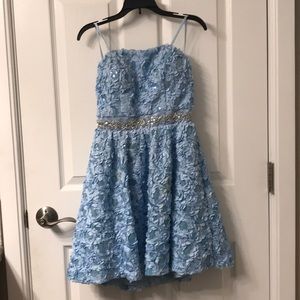 Baby Blue Ruffled/Flower Dress